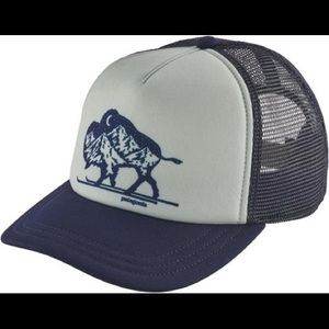 Patagonia Women's Nordic Bison Interstate Hat